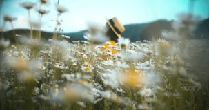 Beautiful girl in hat and sunglasses in summer sitting on chamomile field and smelling the flowers. Slow motion video in 4K.