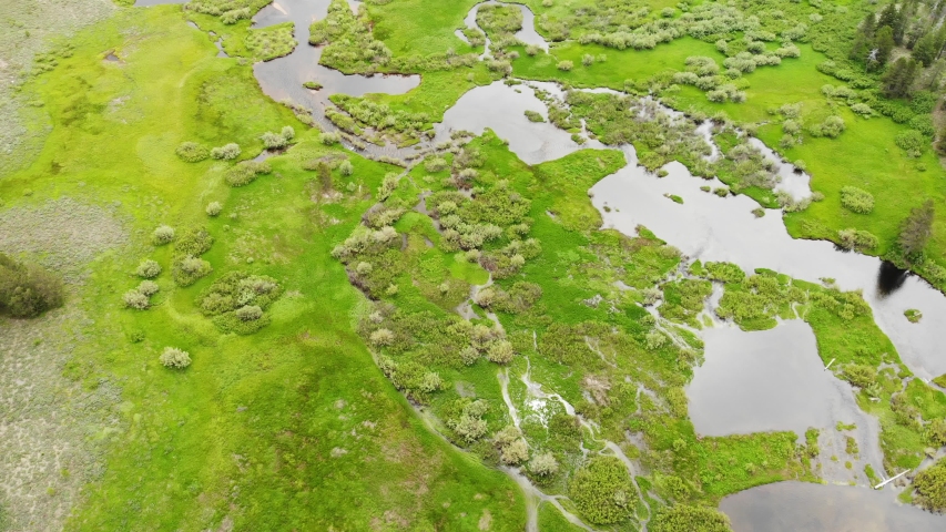 Lush Green Wetlands Near Truckee California - Aerial Drone.