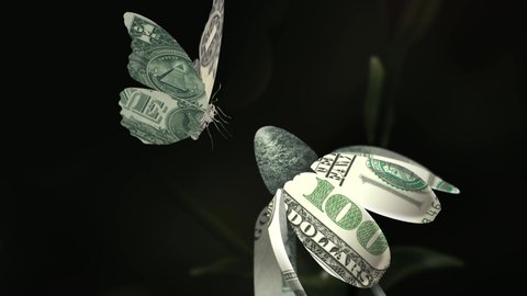 ORIGAMI 100 dollars FLOWER attracts butterfly folded with one us dollar bill. Slow motion animation sequence with chroma key. Seamless loop. Expensive flower and insect Isolated on blue. Close up