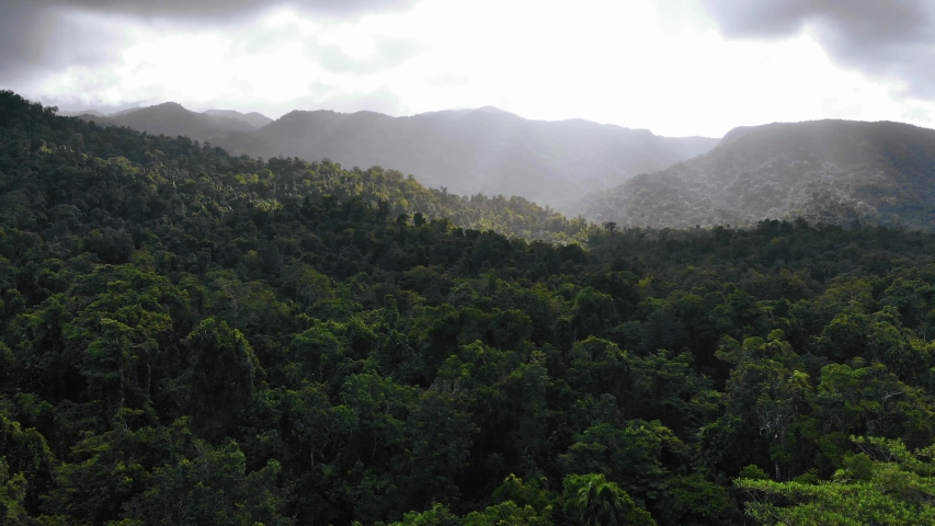 4K Mountain Forest Landscape  in Cairns Australia | Shutterstock HD Video #1032929765