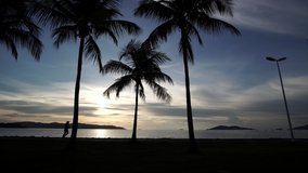 Silhouette of man, coconut tree and street light during sunset. Jogging track at Tanjung Lipat, Kota Kinabalu Sabah. Video 4K. 