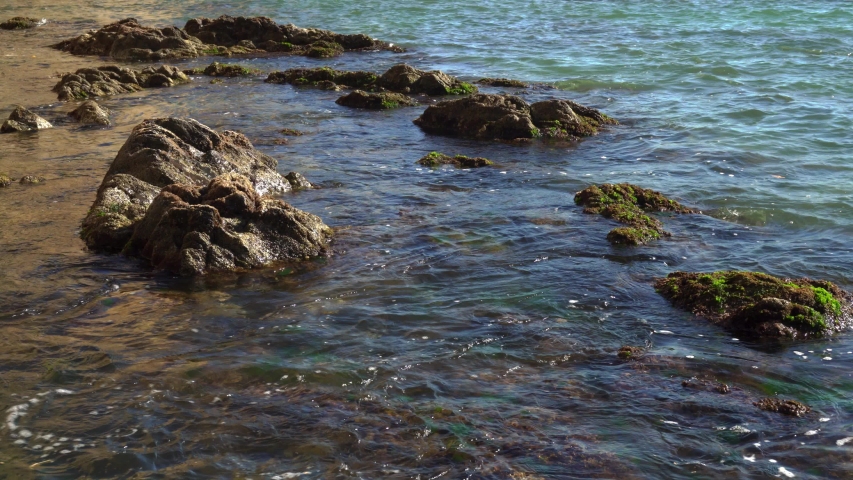 Small waves breaking around the rocks in the port of Collioure on a windy hot day. Occitanie, South of France