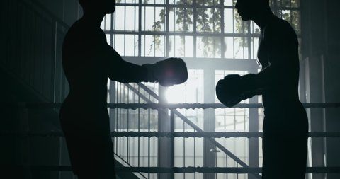 Cinematic slow motion shot of two professional young muscular shirtless male boxers  fight friendly start  in a boxing ring.