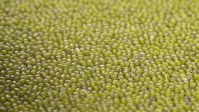 Green Raw Lentils Falling pouring Slow Motion background video wide shot