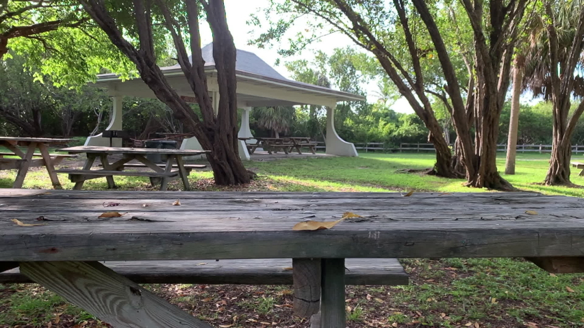 an empty park bench in the middle of a field of trees