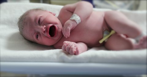 Pregnancy Operation Stock Video Footage 4k And Hd Video Clips Shutterstock