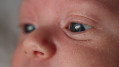 Closeup of newborn baby eyes in macro observing