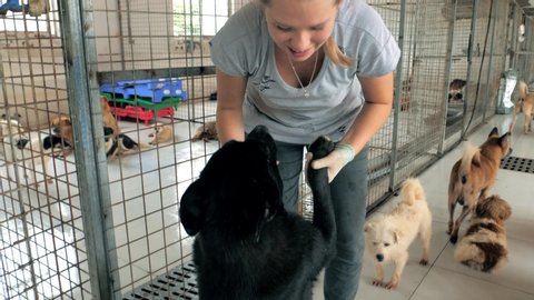 Young girl hugging and petting caged stray dog in pet shelter. People, Animals, Volunteering And Helping Concept.