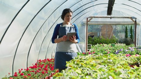 Mature Woman Working In Garden Stock Footage Video 100 Royalty Free 1033022621 Shutterstock