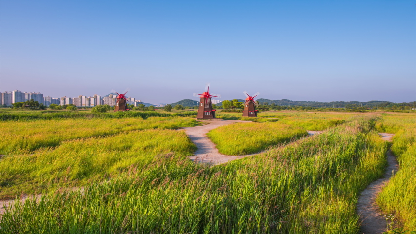 Sorae Marsh Ecological park in Incheon South Korea