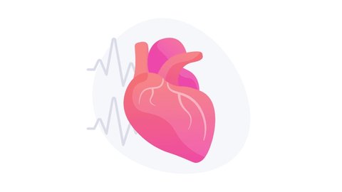 Beating human heart icon concept metaphor. Isolated heartbeat with cardiogram - loopable medical cardiology conceptual footage. 4K animation seamless loop.