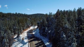 Car driving on tree-lined road, Taos, New Mexico, United States