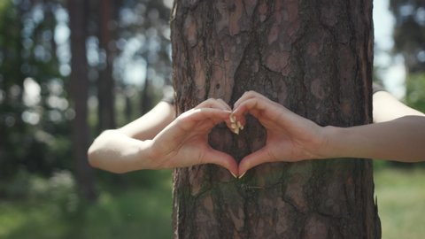 beautiful nature scene in the park. view of cheerful girl hugging a tree trunk showing a love sign on camera. love nature concept. summertime.
