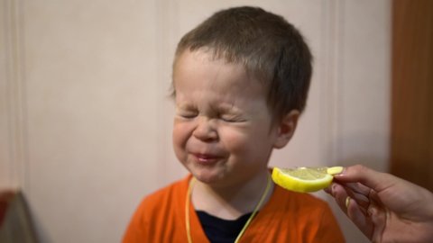 Little baby boy biting a lemon wedge,which holds a woman's hand. The child frowns, laughs and tries again to bite a lemon slice, close-up, portrait photography
