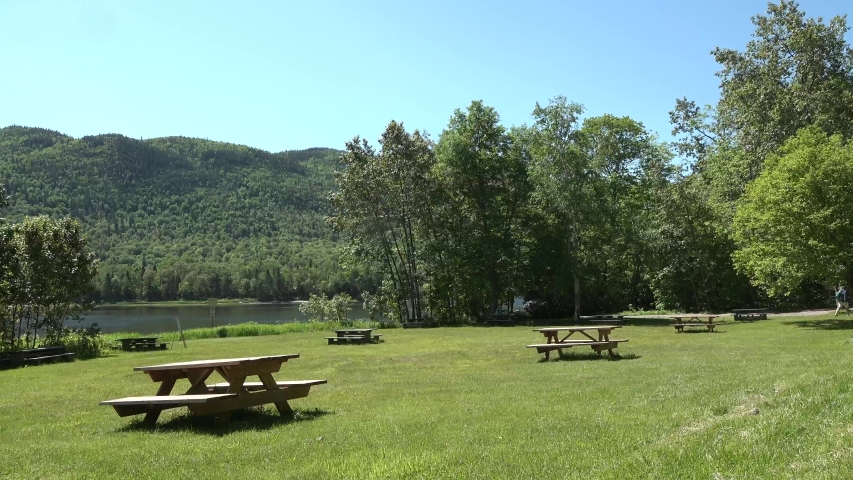 Lawn with tables for rest.