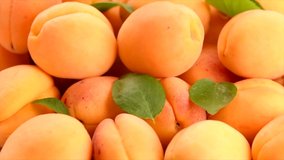 Apricot fruits background. Ripe Organic Apricots fruit with leaves rotation backdrop. Close-up rotation 360 degrees. Harvest, gathering concept. Orchard. 4K UHD video 3840X2160