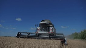 Combine Harvester Cutting Wheat. slow motion video. harvest agriculture concept. Combine harvesting lifestyle in field of golden wheat