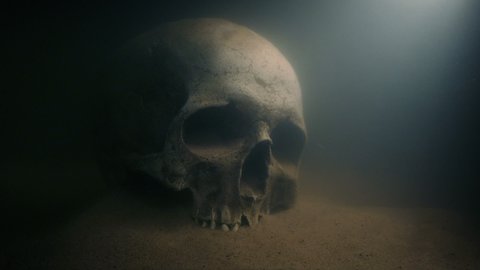 Skull Underwater In Rays Of Light