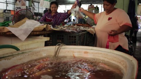Banmai, Phitsanulok / Thailand - 12 29 2018: Fish Being Sold at The Banmai Fresh Market, Phitsanulok, Thailand