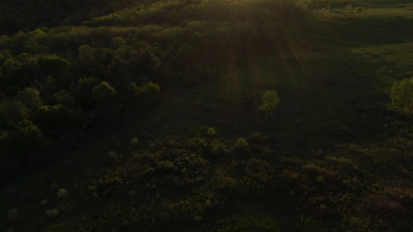 Aerial rising tilt shot of a meadow surrounded by a thick forest during sunset. It