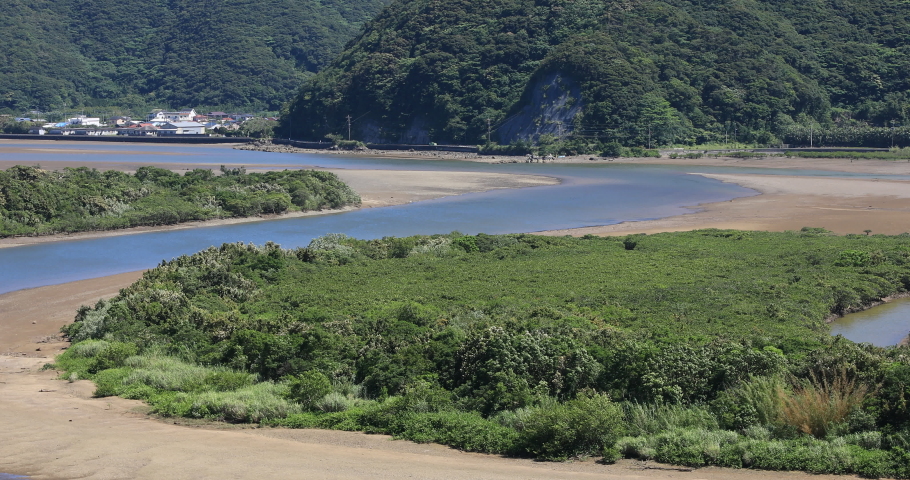 Mangrove forest sunny day. Amami district Kurose Kagoshima Japan - 05.21.2019