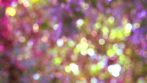 purple pink yellow blur background abstract colorful leaves flower tree in garden
