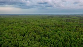 Drone flying above green woodland under the cloudy sky. Small lake in the middle of the forest in summer. Bird's flight view over the natural environment. Camera moves left.