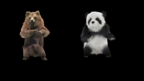 panda bear Zoo CG fur 3d rendering animal realistic CGI VFX Animation Loop Crowd dance composition 3d mapping cartoon Motion Background, Included in the end of the clip with Alpha matte.