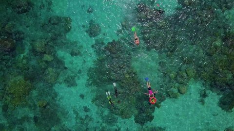Aerial: People Snorkeling in Bright Blue Ocean Over Amazing Coral Reef, Great Barrier Reef, Australia