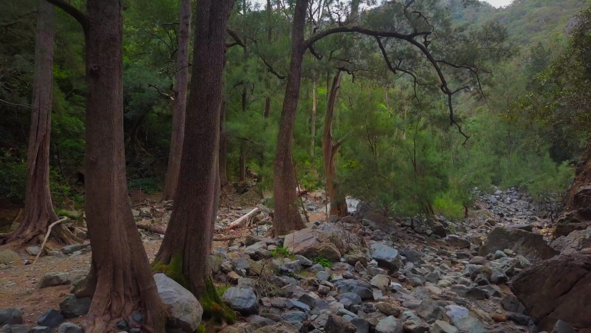 Aerial: Hiking on Rocky Path in Beautiful Forest, Bungonia National Park, Australia