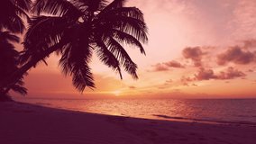 Natural beach sundown landscape video 4K. Red sundown over the sea. Palm beach background. Clouds and red sky over the sea. Amazing tropical sundown on the beach. Top sunset in the world