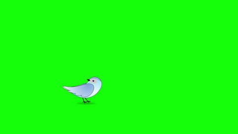 Cartoon Bird Flies in and Perches on Green Screen background