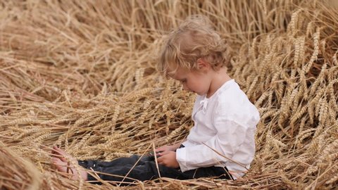 Lazy cute child boy curly hair sit in wheat field nature negatively shakes hand and head refuses stop watch smart phone cartoons - inactive childhood on countryside