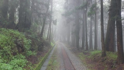 Old Abandoned Railroad in Alishan Scenic Area Forest with Mist, Haze and Fog in Taiwan. Aerial View Video Stok