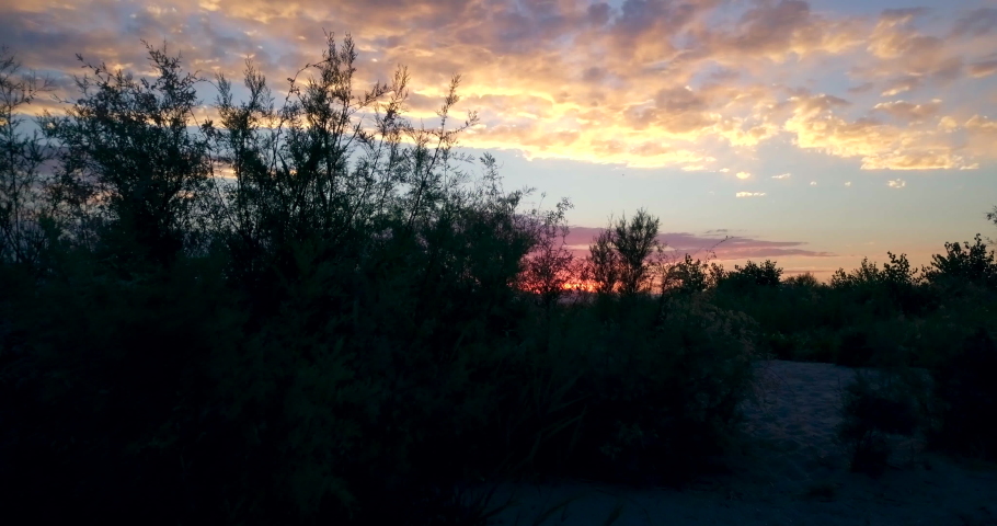Climb up from behind shore growth to reveal a gorgeous lake in orange twilight. Utah Lake, July 2018 Provo, Utah.