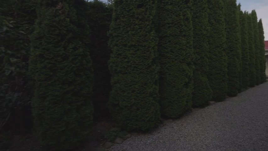 Walking through nice shape trees with a house in the end. Slow Motion. Filmed on gimbal.