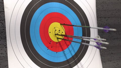 Target for archery shooting. Arrow hitting the target . 