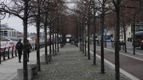 Tree rows on Dublin Quays in winter