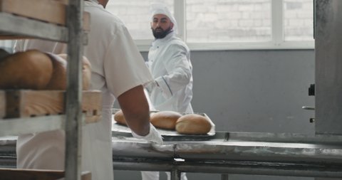 Hard day working process of unloaded the bread from oven machine on the special shelves in a bakery factory
