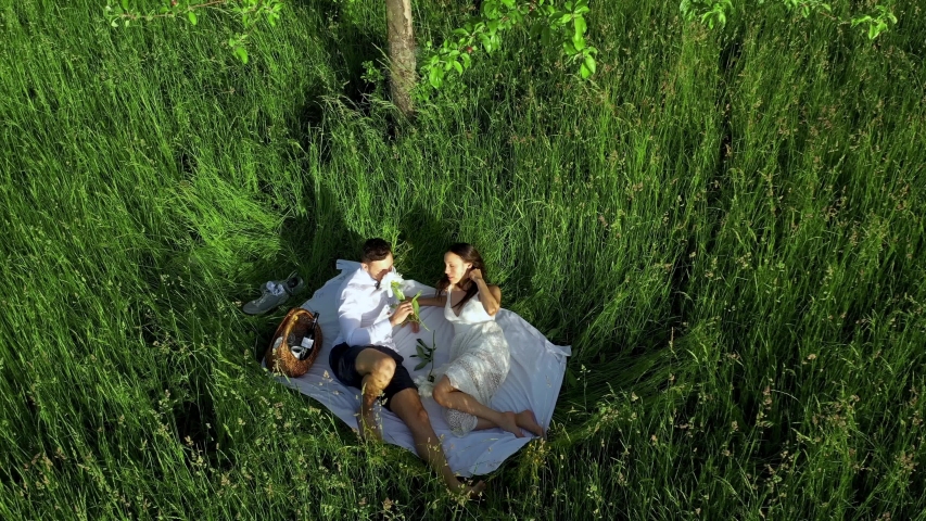 We authorized Creators are picnicing in a beautiful field. While Golden hour :D