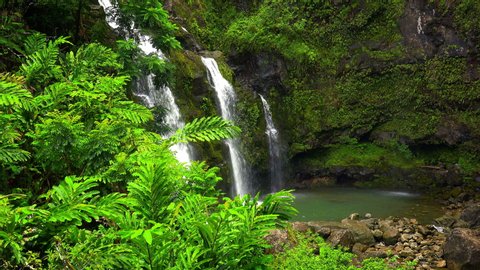 Cinemagraph Loop of Hawaiian Waterfall in Rainforest, Three Bears Falls on the Road to Hana, Maui, Hawaii