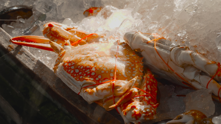 Fresh seafood on ice for sale.