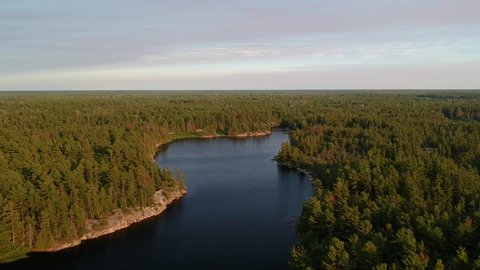 Aerial shot flying forward at high altitude above northern lake and endless boreal pine trees coniferous forest going over horizon. Shot at high angle. Grundy lake, Northern Ontario, Canada.