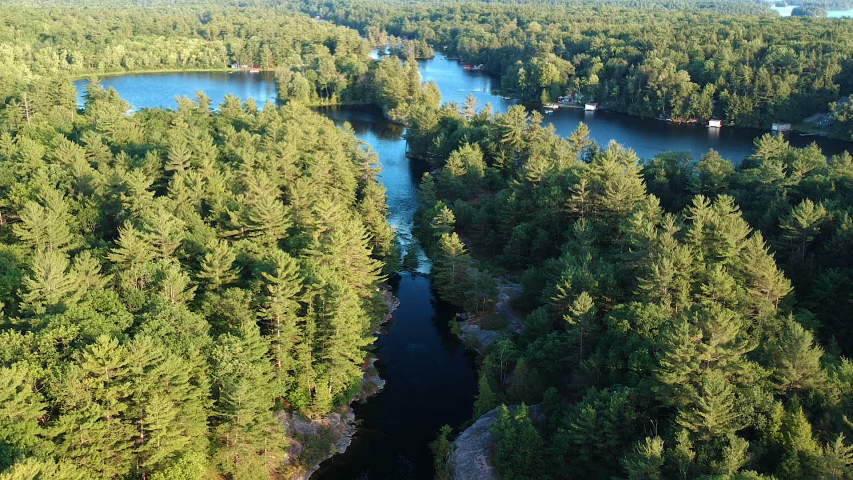 Aerial shot: fly downfrom high altitude to creek running between high coniferous trees of northern boreal forest. Six Mile Lake, Northern Ontario, Canada.