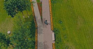 Walk with the family in the park, person in a wheelchair. Aerial view video from copter. Top view.