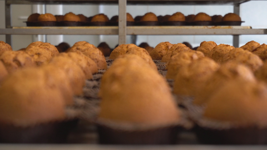 Tray of freshly baked chocolate muffins from biscuit dough, production of muffins. Food Industry Background, cooking, focus