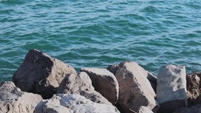 Big Rocks at Adriatic Sea Coast in Italy
