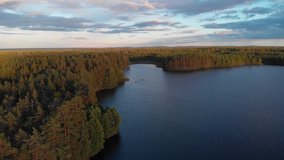 Aerial footage of a lake in a Swedish forest during sunset. Flying backwards and up over the forest with the lake on the side.