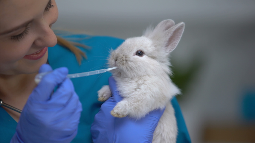 rabbit friendly vets near me