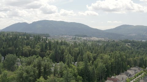 Homes and Businesses Amongst Trees in Issaquah Highlands Washington USA - Aerial View